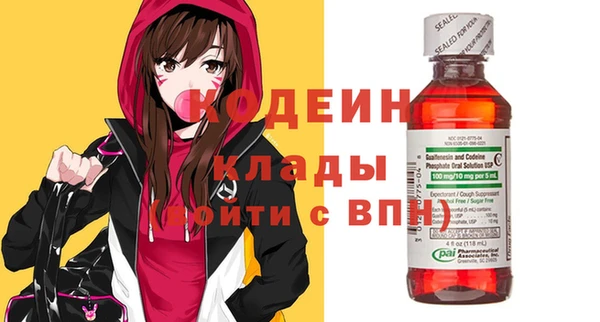 твердый Новодвинск