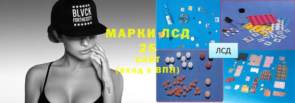 твердый Новодвинск