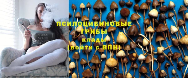 гидра Новокубанск