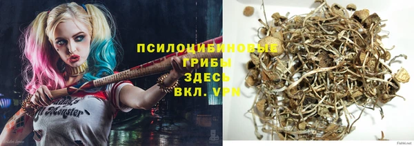 гидра Нефтегорск