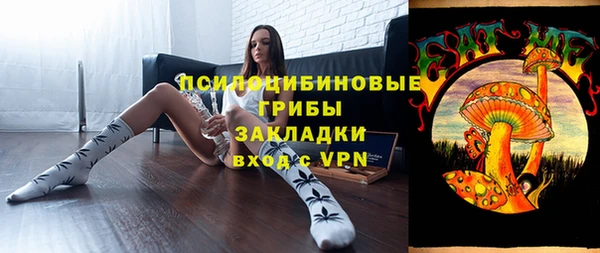 альфа пвп Нея