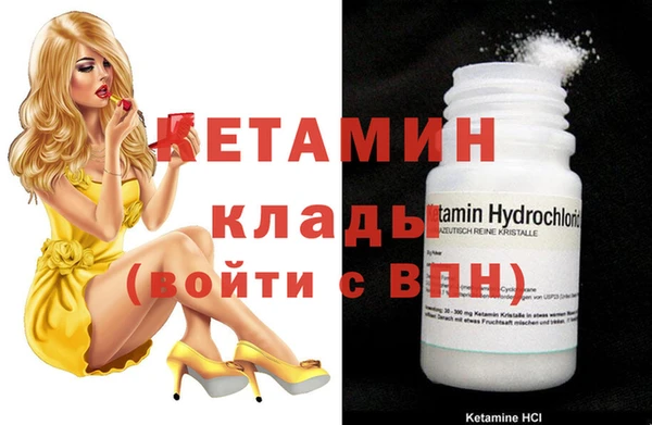 твердый Новодвинск