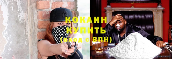 твердый Новодвинск