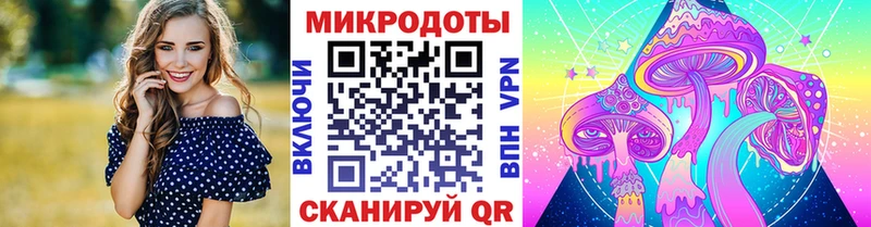 как найти закладки Северск Псилоцибиновые грибы GOLDEN TEACHER