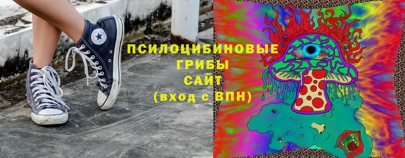 Галлюциногенные грибы Magic Shrooms  Северск 