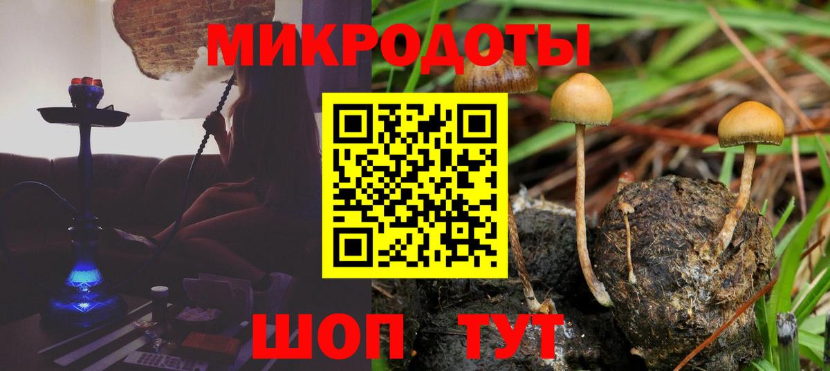 Псилоцибиновые грибы Magic Shrooms Северск