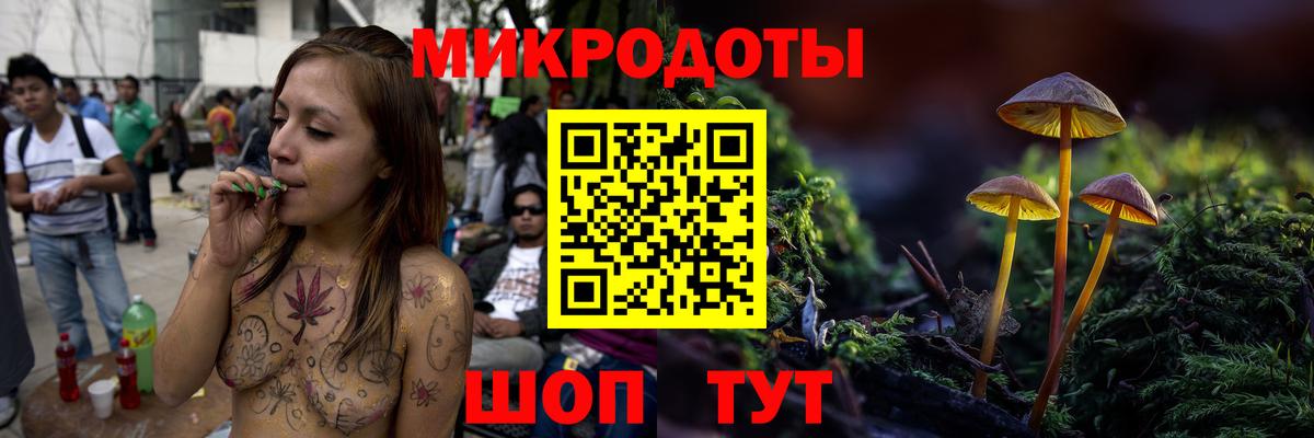 Псилоцибиновые грибы Psilocybe Северск