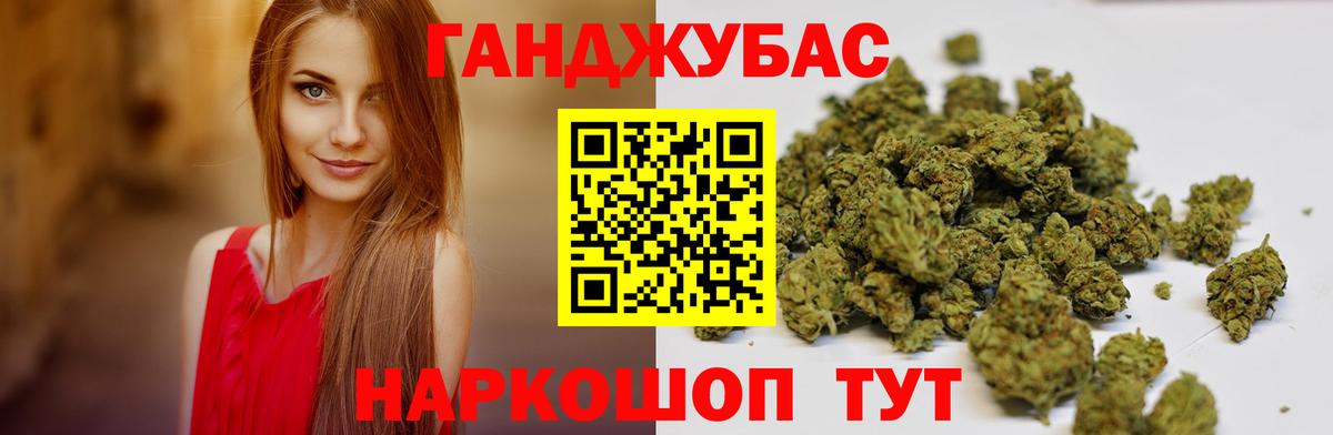 Каннабис сатива Северск